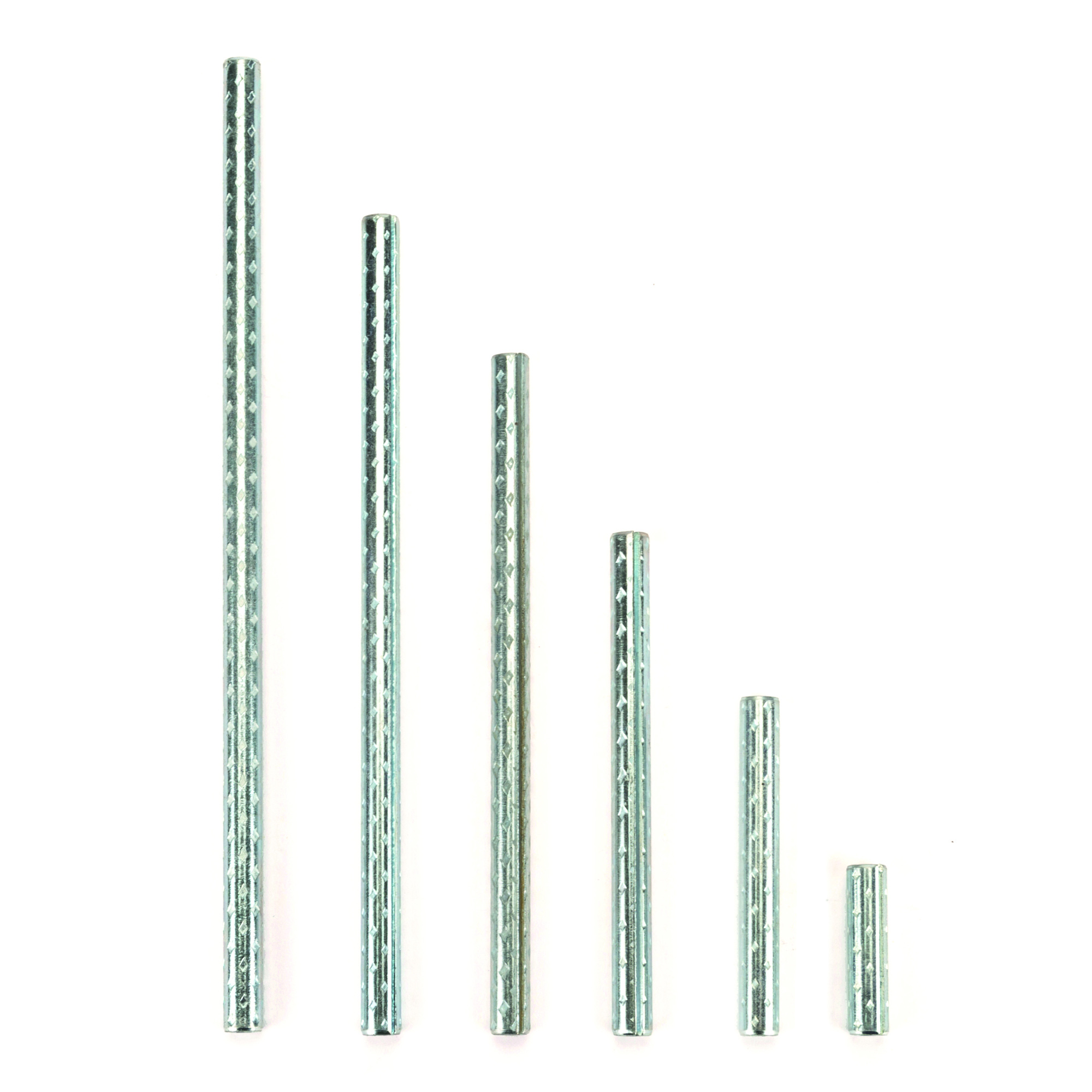 spine elastiche standard
